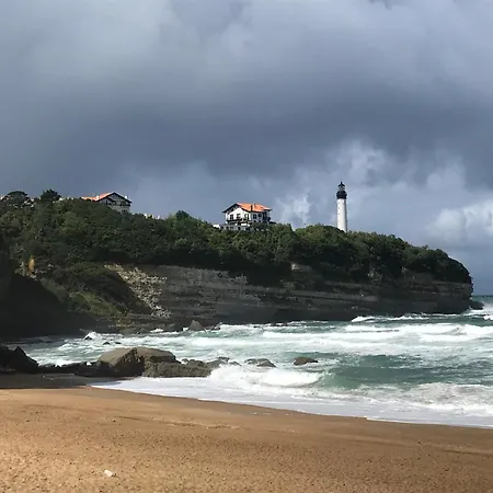 Appartement Hippocampe